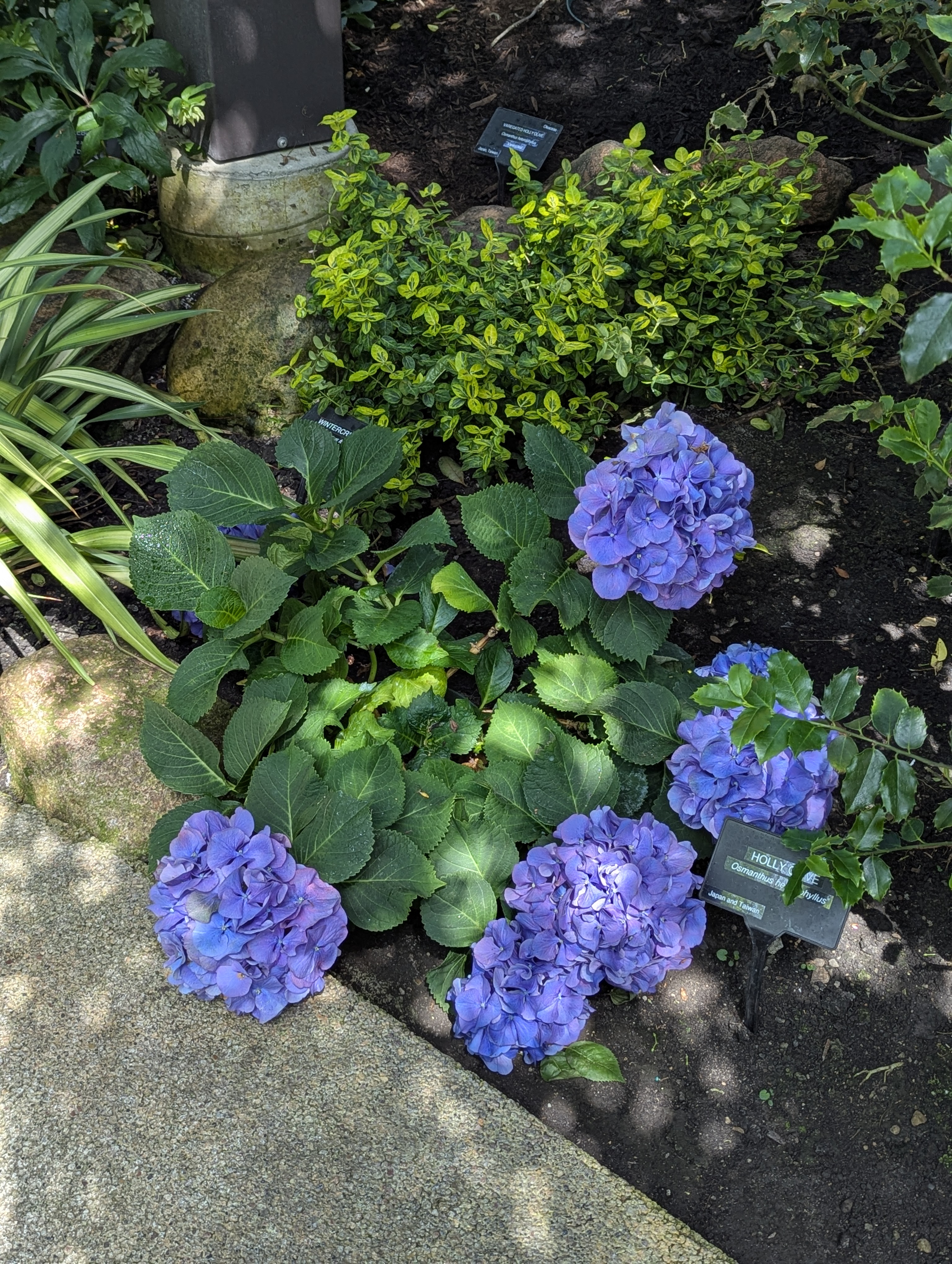 Birthday Trip to Canada, Edmonton, Pyramids, Muttart Observatory